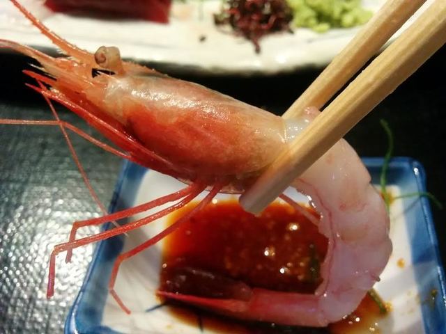 うまうま (11).jpg
