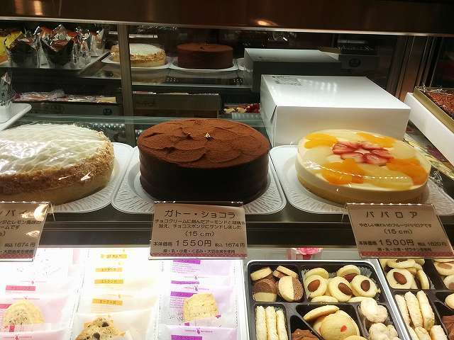 kiku (20).jpg