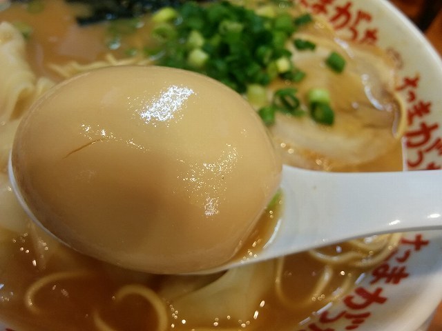 tama (8).jpg